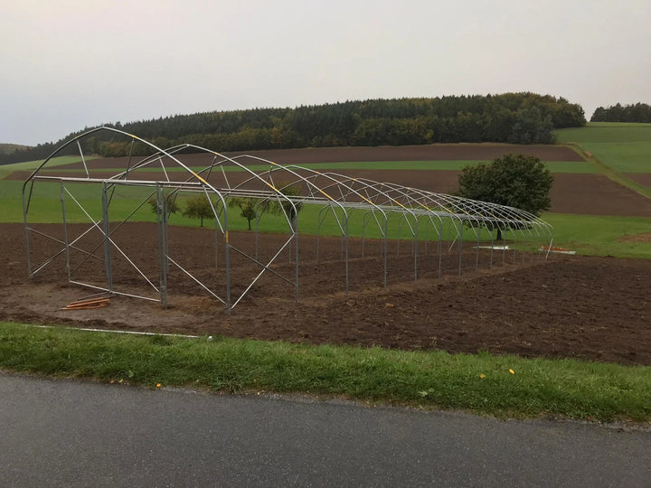 Tunnel Greenhouse 6×50 m | Extended Posts | 180 µm UV-5 Film | EU – TIM-DAM