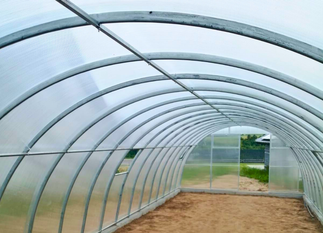 Greenhouse PROFI PLUS | width 4 m | Polycarbonate