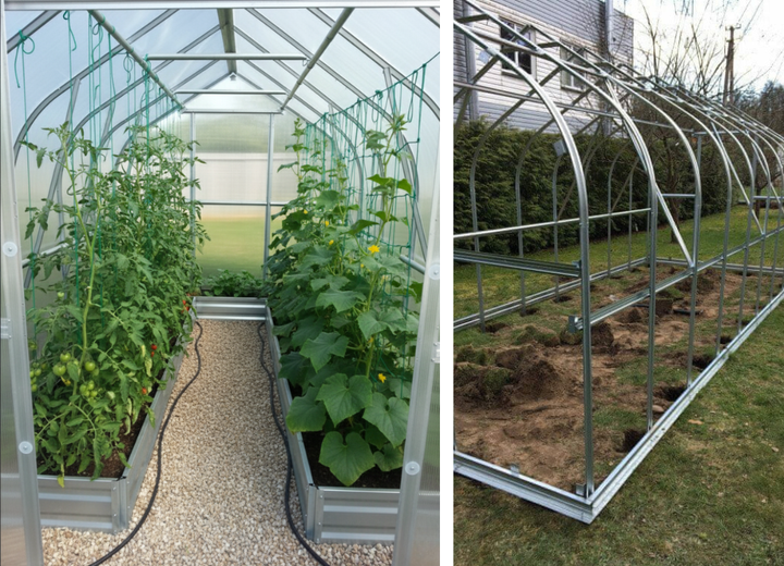Greenhouse with plants on the left and a clear view of the greenhouse structure on the right.