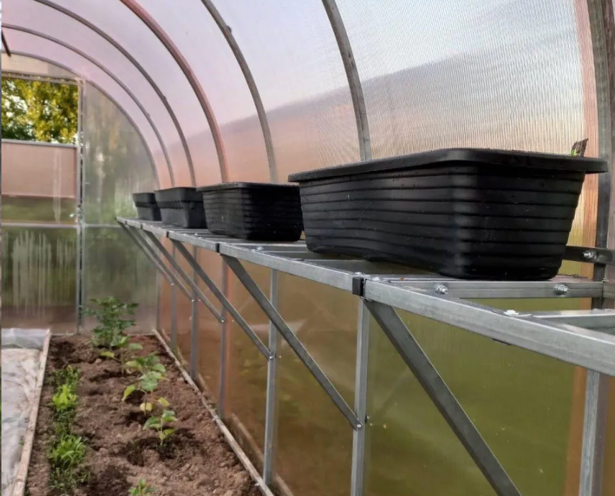  Shelf for Tunnel Greenhouses