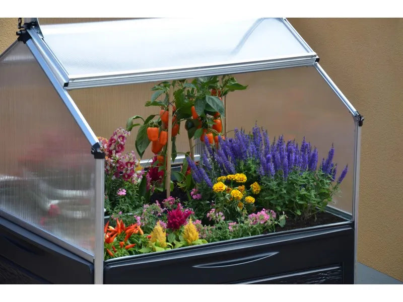 GREENHOUSE PLANT INN, dim: Š 118 x D 118 x 148