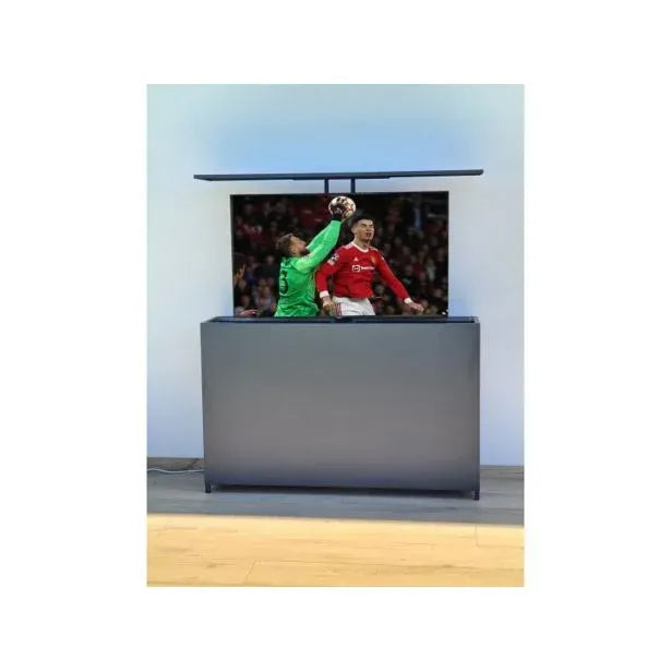Tim Enclosure Outdoor TV Enclosure MS-Viscom – Stylish & Weatherproof – TIM-DAM
