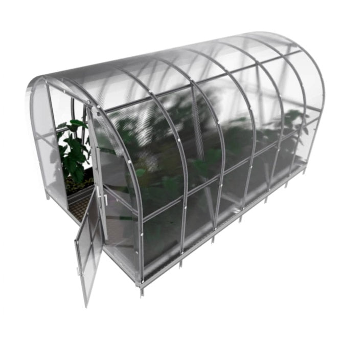 Transparent polycarbonate greenhouse with plants inside on a white background
