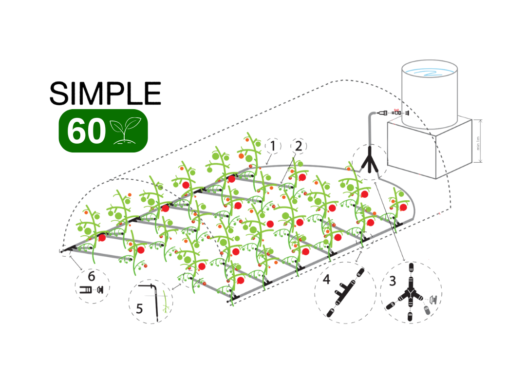 SIMPLE Drip irrigation system for 60 plants